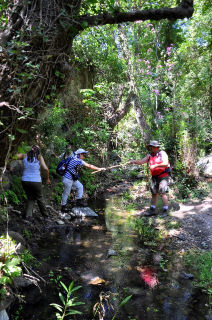 Elounda: Private Tour to Rihti Waterfalls and Mochlos - Frequently Asked Questions