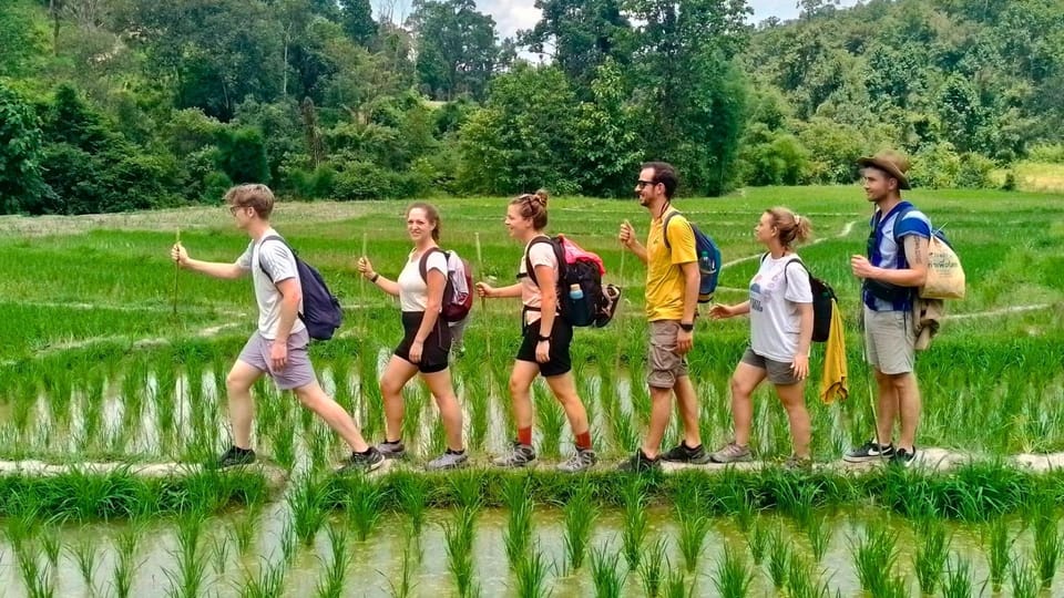 Enchanting Jungle Full-Day Trekking in Chiang Mai - Frequently Asked Questions