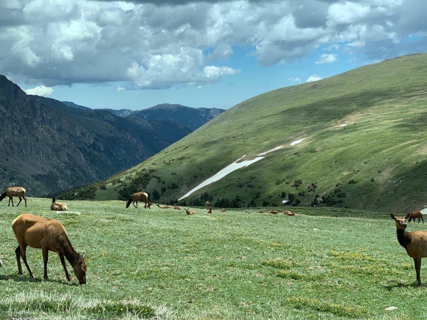 Estes Park: Rocky Mountains Trail Ridge Panoramic Bus Tour - Frequently Asked Questions