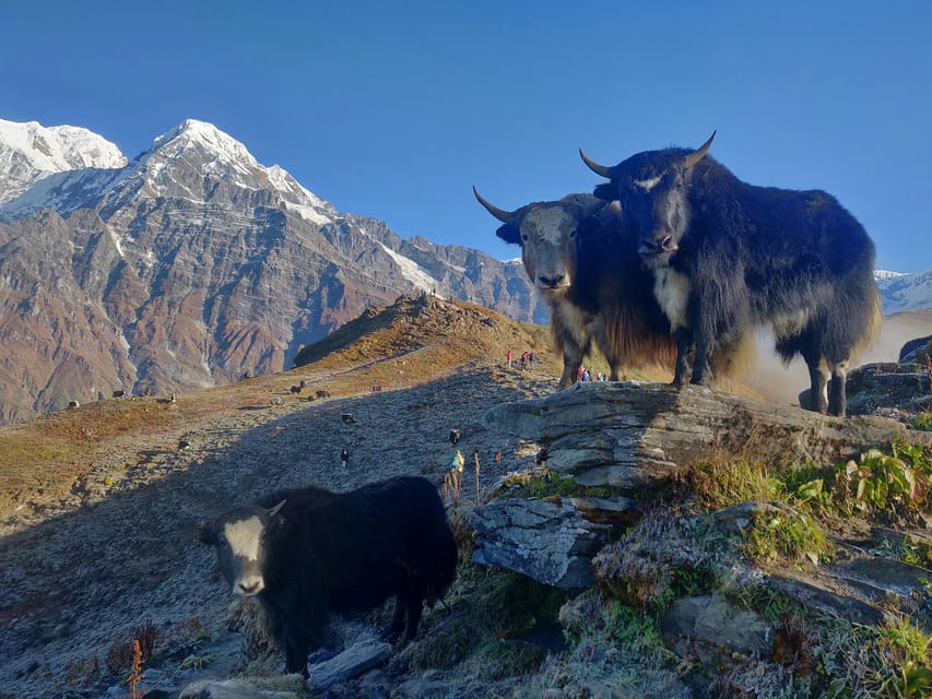 Everest Region: Private Everest Base Camp Trek 15 Days - Frequently Asked Questions