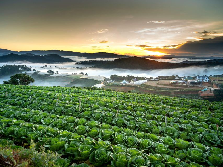 Explore the Best of Dalat Countryside Tour (Private Car) - Frequently Asked Questions