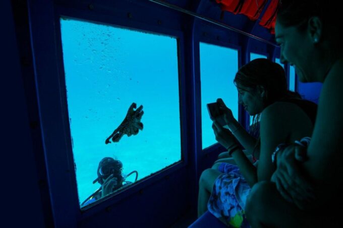 Faliraki: Yellow Submarine Cruise With Underwater Views - Frequently Asked Questions