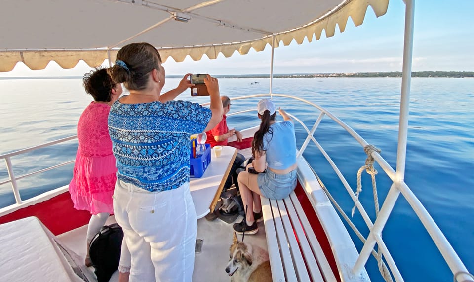 Fazana: Sunset Dolphin Cruise in Brijuni Park - Frequently Asked Questions