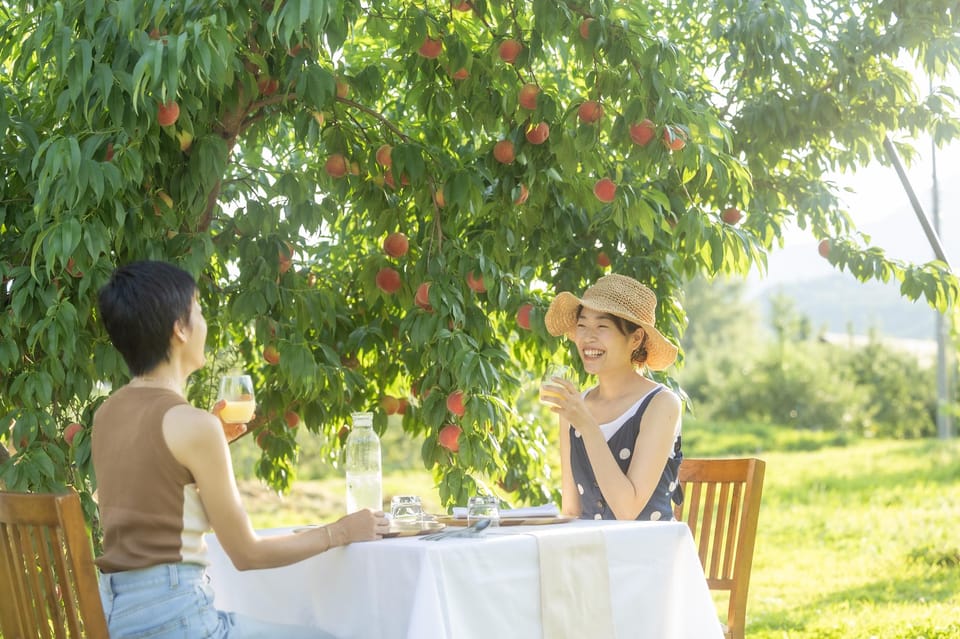 Fine Dining Experience Inside an Orchard in Nagano - Recap