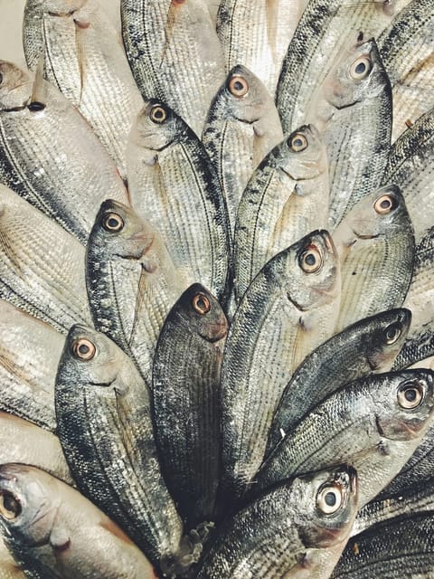 Fishing in the Sea by Yacht - Frequently Asked Questions