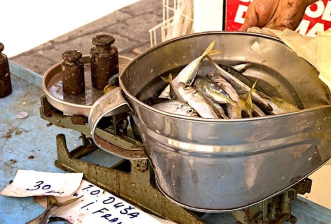 Food Tour in Split ( Small Group) - Frequently Asked Questions