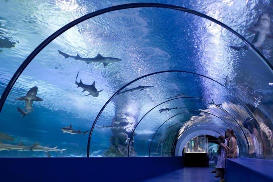 From Antalya All Region: Antalya Aquarium With Transfer - Frequently Asked Questions