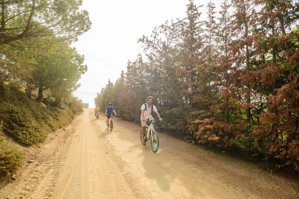 From Barcelona: Alella Wine Tour by Electric Bike - Frequently Asked Questions