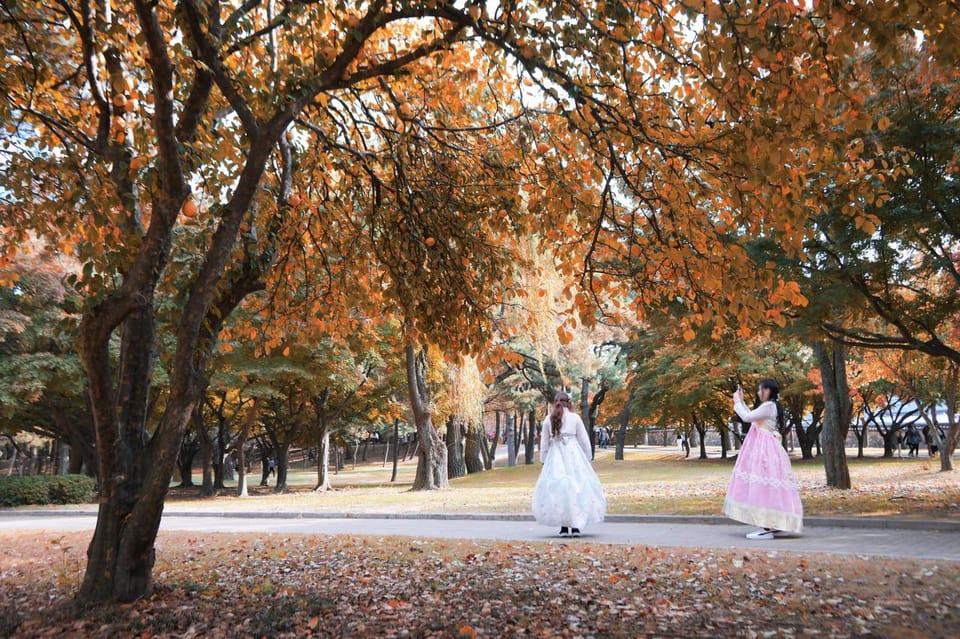 From Busan: Gyeongju Autumn Foliage One Day Tour - Frequently Asked Questions