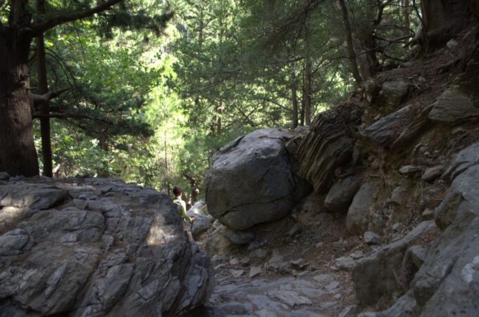 From Chania/Kalyves: Full-Day Samaria Gorge Hiking Day Trip - Frequently Asked Questions