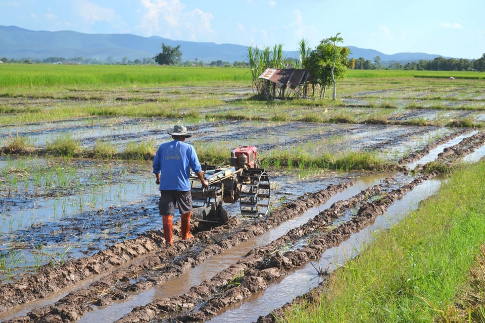 From Chiang Mai: 2 Days Cycling & Kayaking Tour in Mae Taeng - Frequently Asked Questions