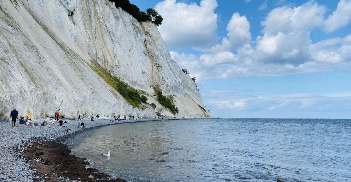 From Copenhagen: Round-Trip to Møns Klint and Forest Tower - Frequently Asked Questions