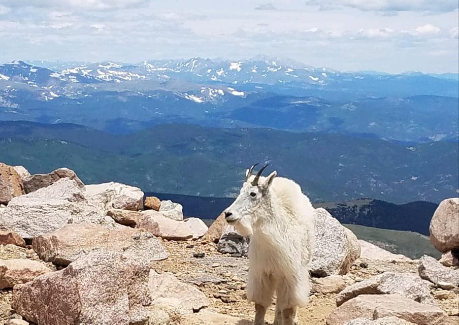 From Denver: Trip to Mount Blue Sky Summit and Glacial Lake - Frequently Asked Questions