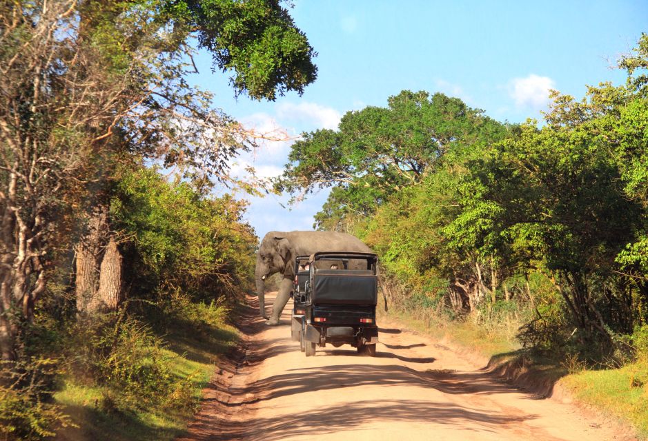 From Ella: Yala National Park Jeep Safari Tour - Frequently Asked Questions