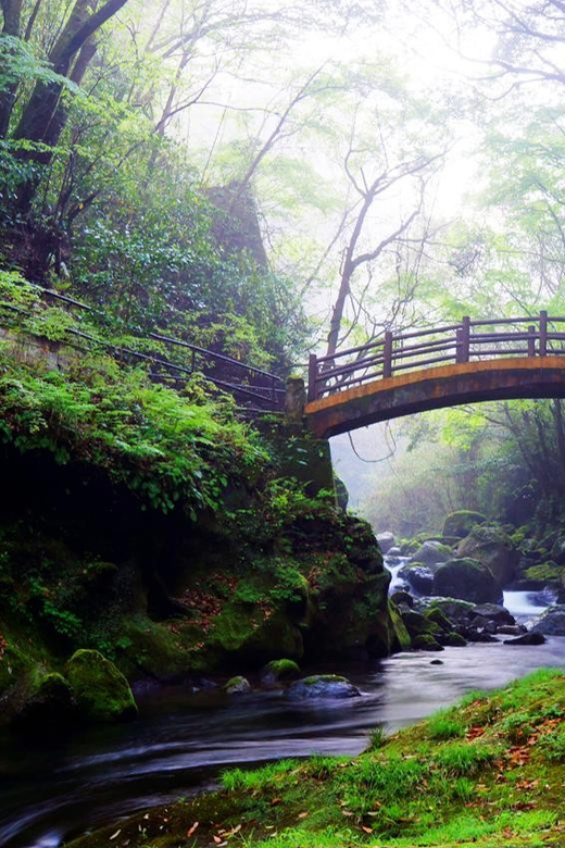 From Fukuoka: Day Trip to Miyazaki Takachiho Gorge & Shrine - Recap