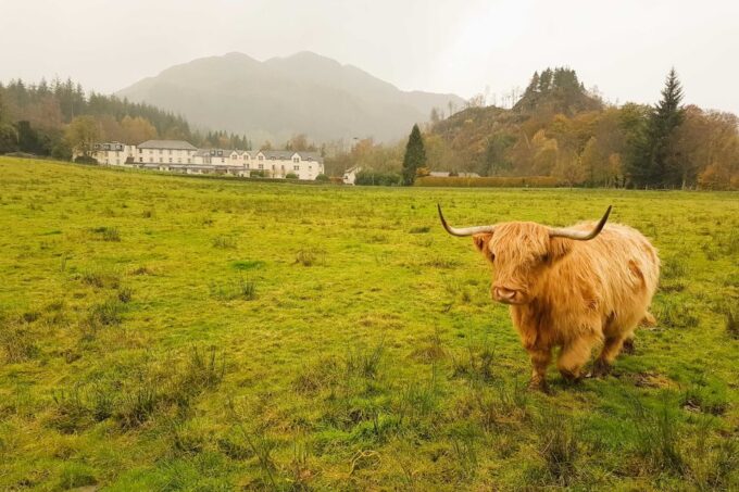 From Glasgow: Loch Lomond, Trossachs & Stirling Castle Tour - Frequently Asked Questions