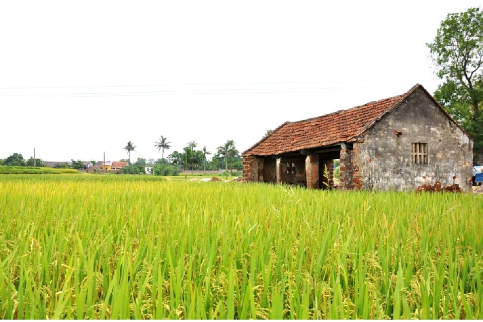 From Hanoi: Duong Lam Ancient Village Day Tour With Lunch - Frequently Asked Questions