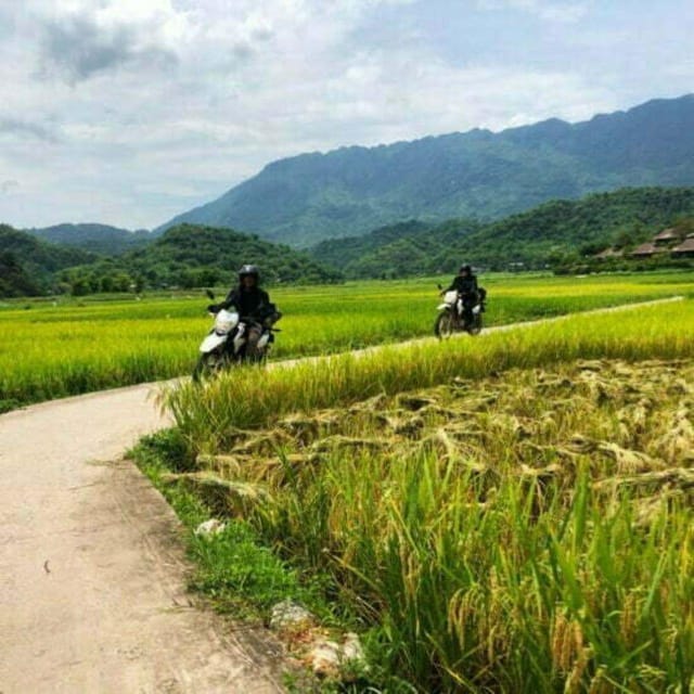 From Hanoi: Pu Luong Nature Reserve Motorbike Tour - 2D1N - Frequently Asked Questions