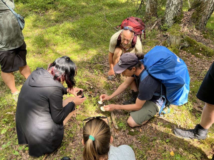 From Helsinki: Hike and Sauna in Sipoonkorpi National Park - Frequently Asked Questions