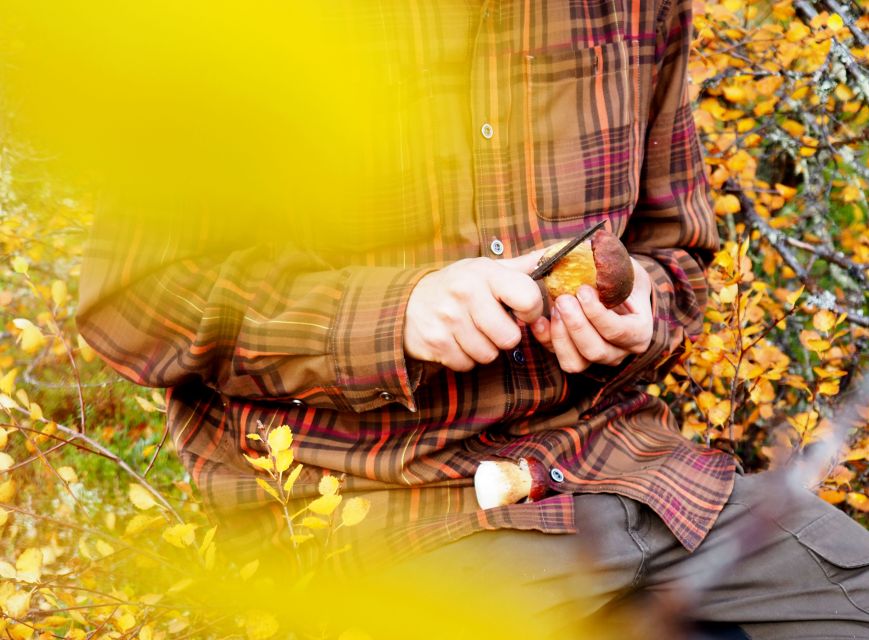 From Helsinki: Mushroom Hunting Tour in a National Park - Frequently Asked Questions