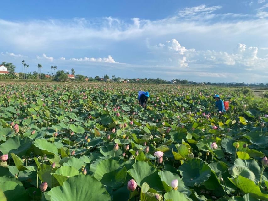 FROM HOI AN: TOUR-THE COUNTRYSIDE OF HOI AN BY VESPA - Frequently Asked Questions