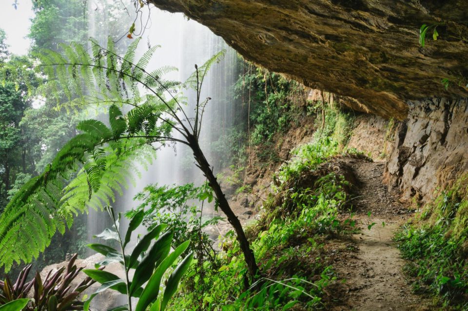 From Hue: One Day Phong Nha Cave, Boat Trip, Lunch Included - Frequently Asked Questions