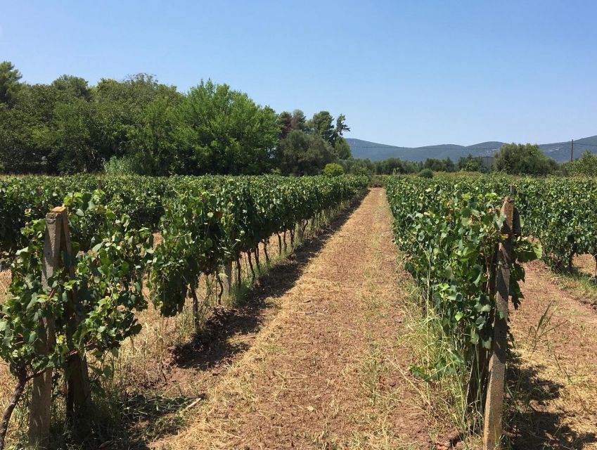 From Kalamata: Wine Tour & Tasting With Optional Lunch - Frequently Asked Questions