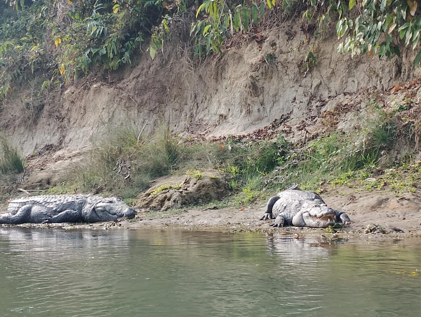 From Kathmaandu: 3 Day 2 Night Chitwan National Park Tour - Frequently Asked Questions