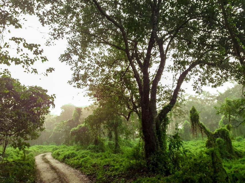 From Kathmandu: 4-Day Chitwan National Park Safari - Frequently Asked Questions