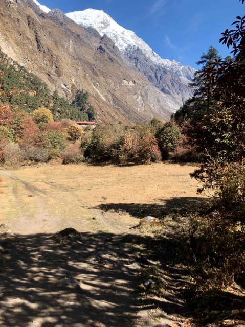 From Kathmandu: Langtang Valley 8-Day Trek /2025 Booking - Frequently Asked Questions