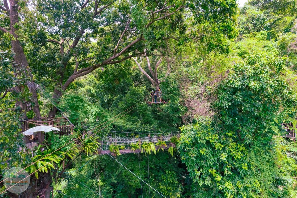 From Koh Samui: Tree Bridge Zipline and Café Experience - Frequently Asked Questions