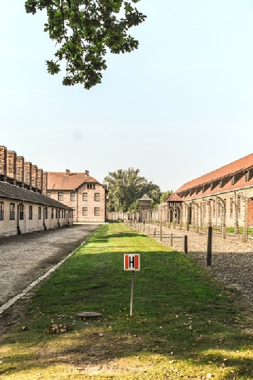 From Krakow: Wieliczka Salt Mine & Auschwitz Guided Trip - Frequently Asked Questions