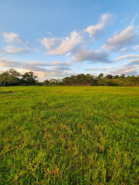 From Medellin; (All-In) The Real Horseback Ranch Experience - Highlights of the Ranch