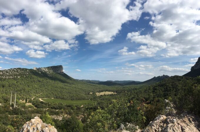 From Montpellier: Half-Day Vineyard & Pic Saint-Loup Tour - Frequently Asked Questions