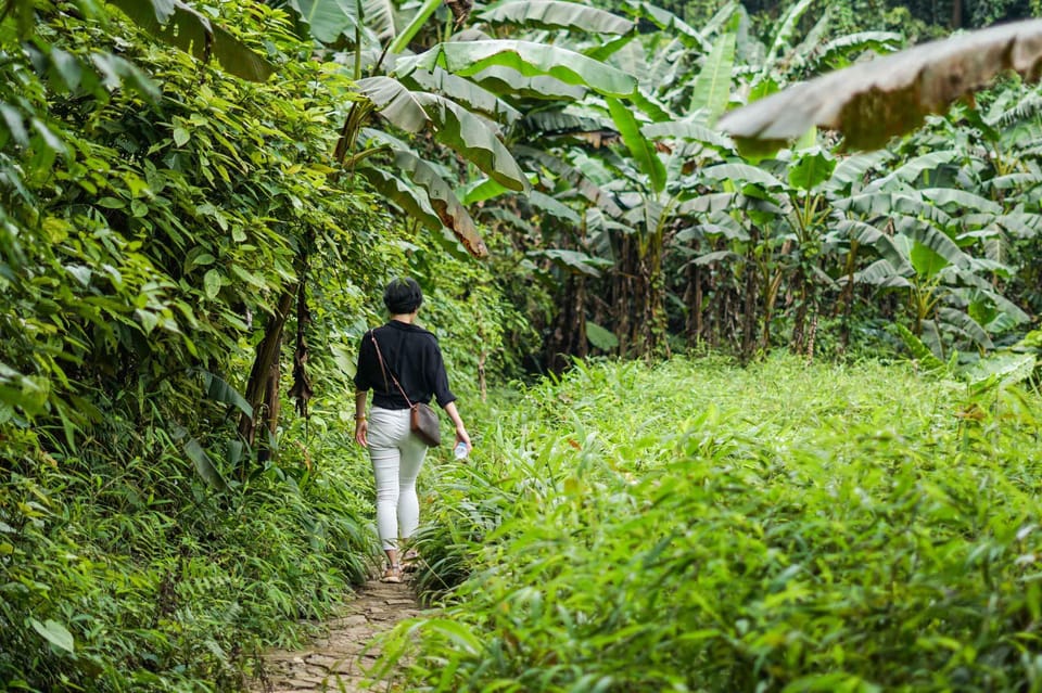 From Ninh Binh: Cuc Phuong National Park 1-Day Small Group - Frequently Asked Questions