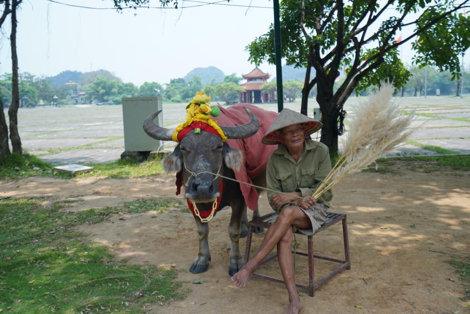 From Ninh Binh: Motorbike Tour Visit The Best Destination - Frequently Asked Questions