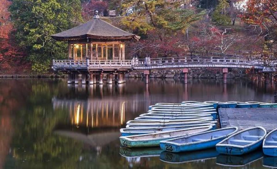 From Osaka: Kyoto Full Day Sightseeing Private Tour - Frequently Asked Questions