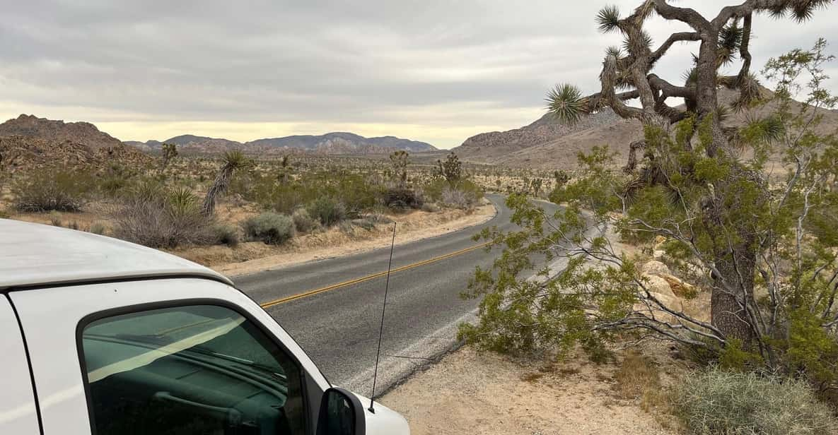 From Palm Springs: Joshua Tree National Park Driving Tour - Frequently Asked Questions