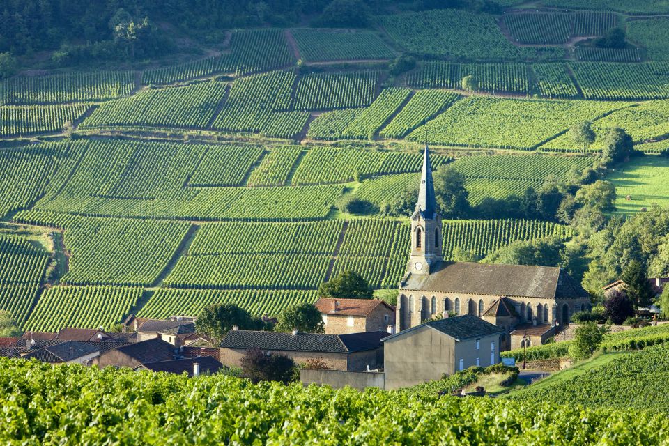 From Paris: Burgundy Region Winery Tour With Tastings - Frequently Asked Questions