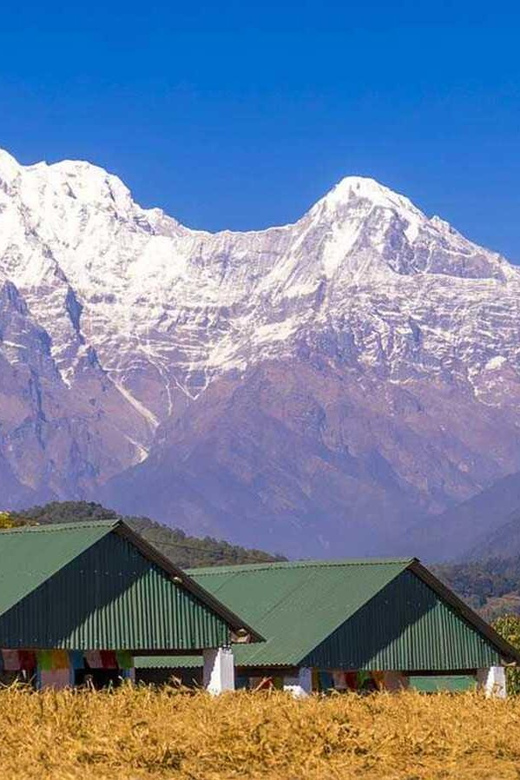 From Pokhara: Annapurna View Day Hike - Frequently Asked Questions