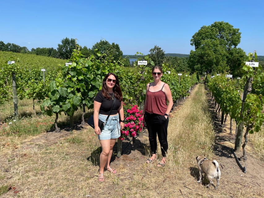 From Potsdam: E-Bike Tour Into the Vineyards - Frequently Asked Questions