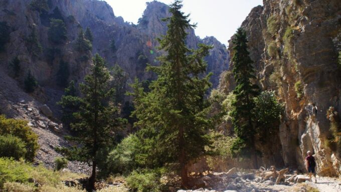 From Rethymno: Imbros Gorge & Libyan Guided Sea Tour - Frequently Asked Questions