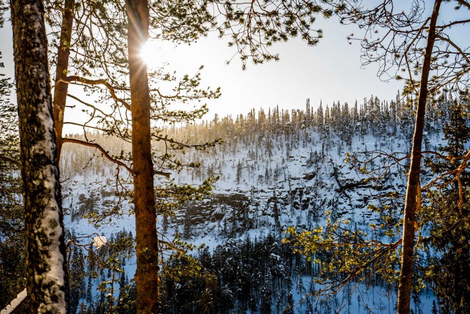 From Rovaniemi: Frozen Waterfalls of Korouoma Full-Day Tour - Frequently Asked Questions