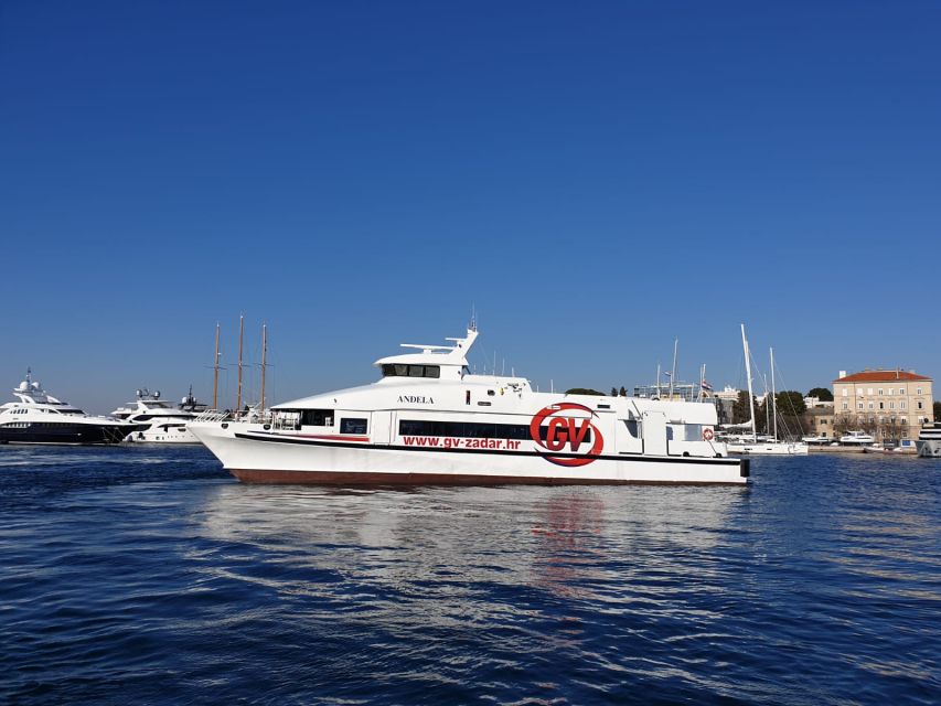 From Rovinj: Venice Boat Trip With Day or One-Way Option - Frequently Asked Questions