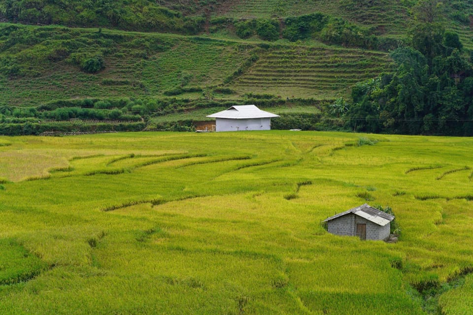 From Sa Pa: Half Day Muong Hoa Valley Trek and Ethnic Tribes - Frequently Asked Questions