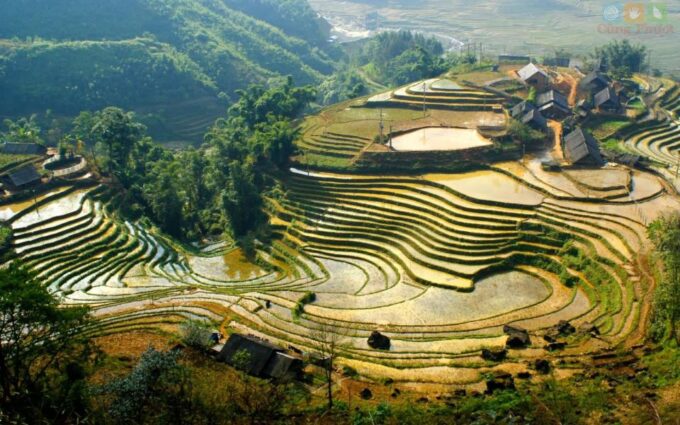 From Sapa : 1 Day Amazing Sapa Trek to Terrace Rice Field - Frequently Asked Questions