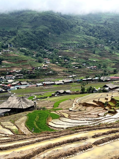 From Sapa - 1D Trek: Walk Through Bamboo Forest With Lunch - Frequently Asked Questions