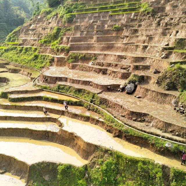 From Sapa 2-Day Sapa Trekking Trip With Homestay & Meals - Frequently Asked Questions