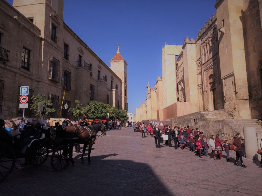 From Seville: Córdoba and Carmona Full-Day Tour - Frequently Asked Questions