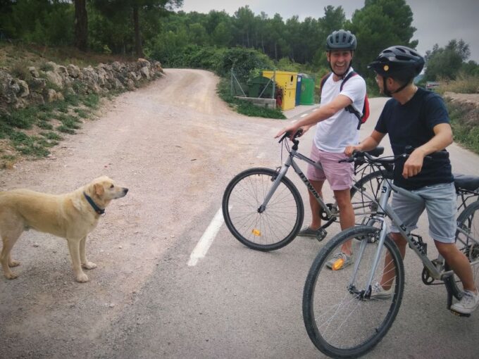 From Sitges: Cycling Tour With Winery Visit and Tasting - Frequently Asked Questions